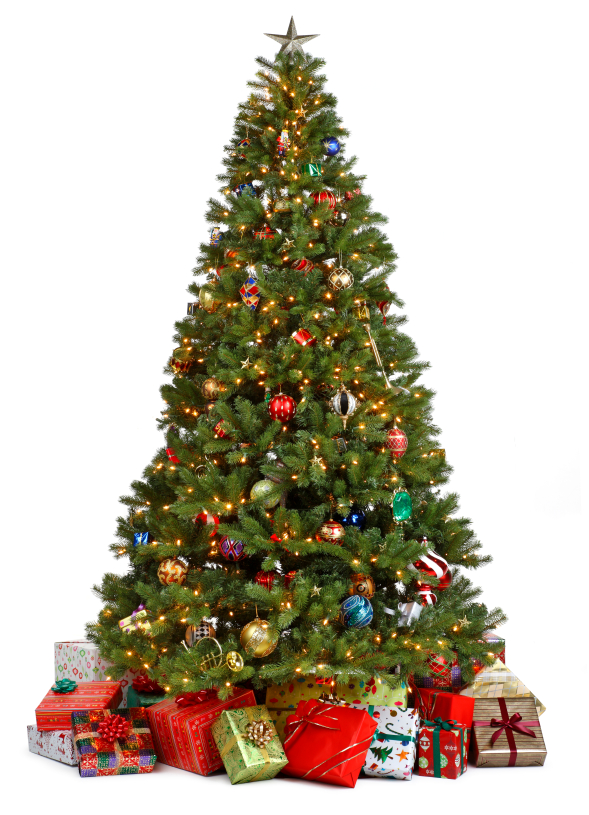 how-to-get-a-free-christmas-tree-savingadvice-blog